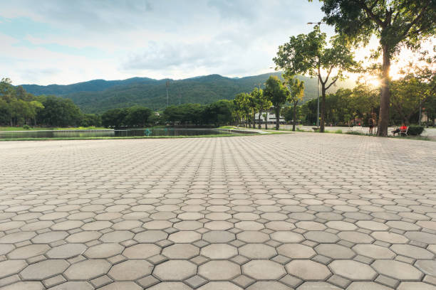 Best Best Driveway Pavers  in Lake Placid, FL